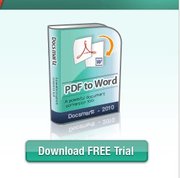 Docsmartz PDF to Word 